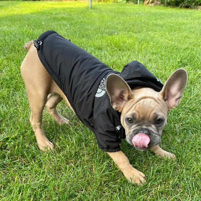 Warm Fleece Jacket for Dogs (Reflective)"