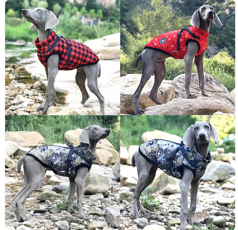 Dog Jacket With Harness (Comfy)