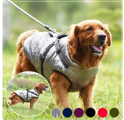 Dog Jacket With Harness (Comfy)