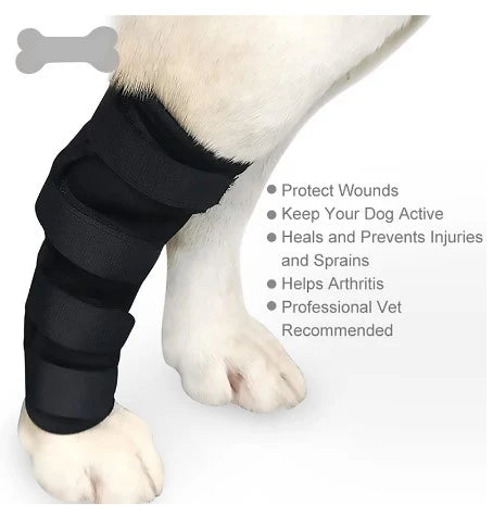 Knee Brace Support For Dogs (Adjustable)