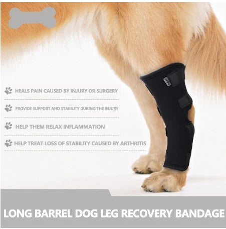 Knee Brace Support For Dogs (Adjustable)