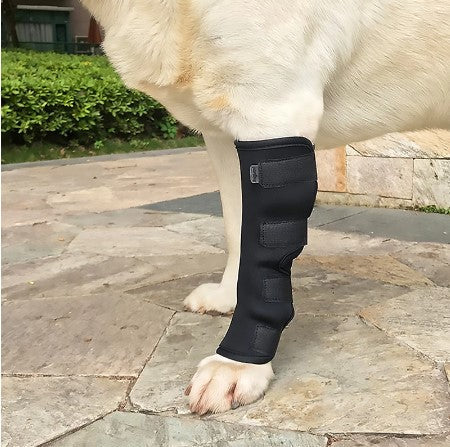 Knee Brace Support For Dogs (Adjustable)